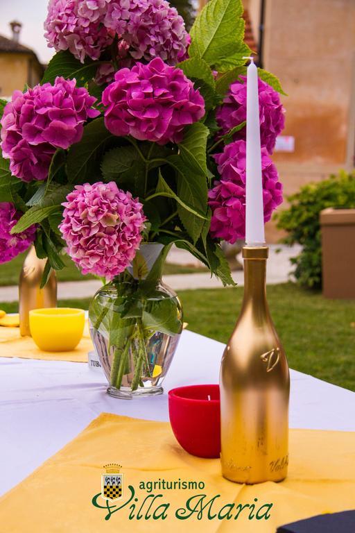Agriturismo Villa Panigai Farra di Soligo Kültér fotó