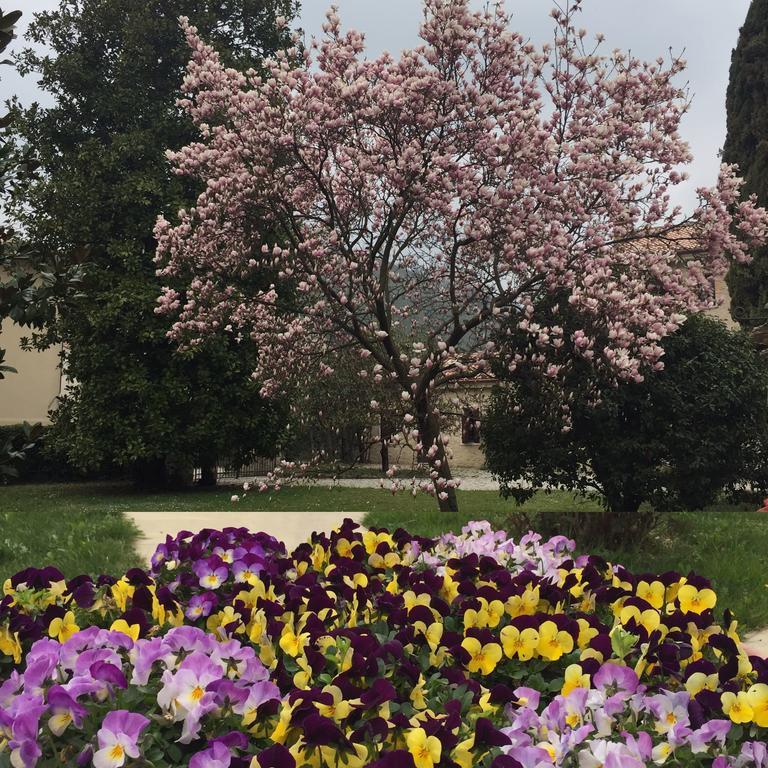 Agriturismo Villa Panigai Farra di Soligo Kültér fotó