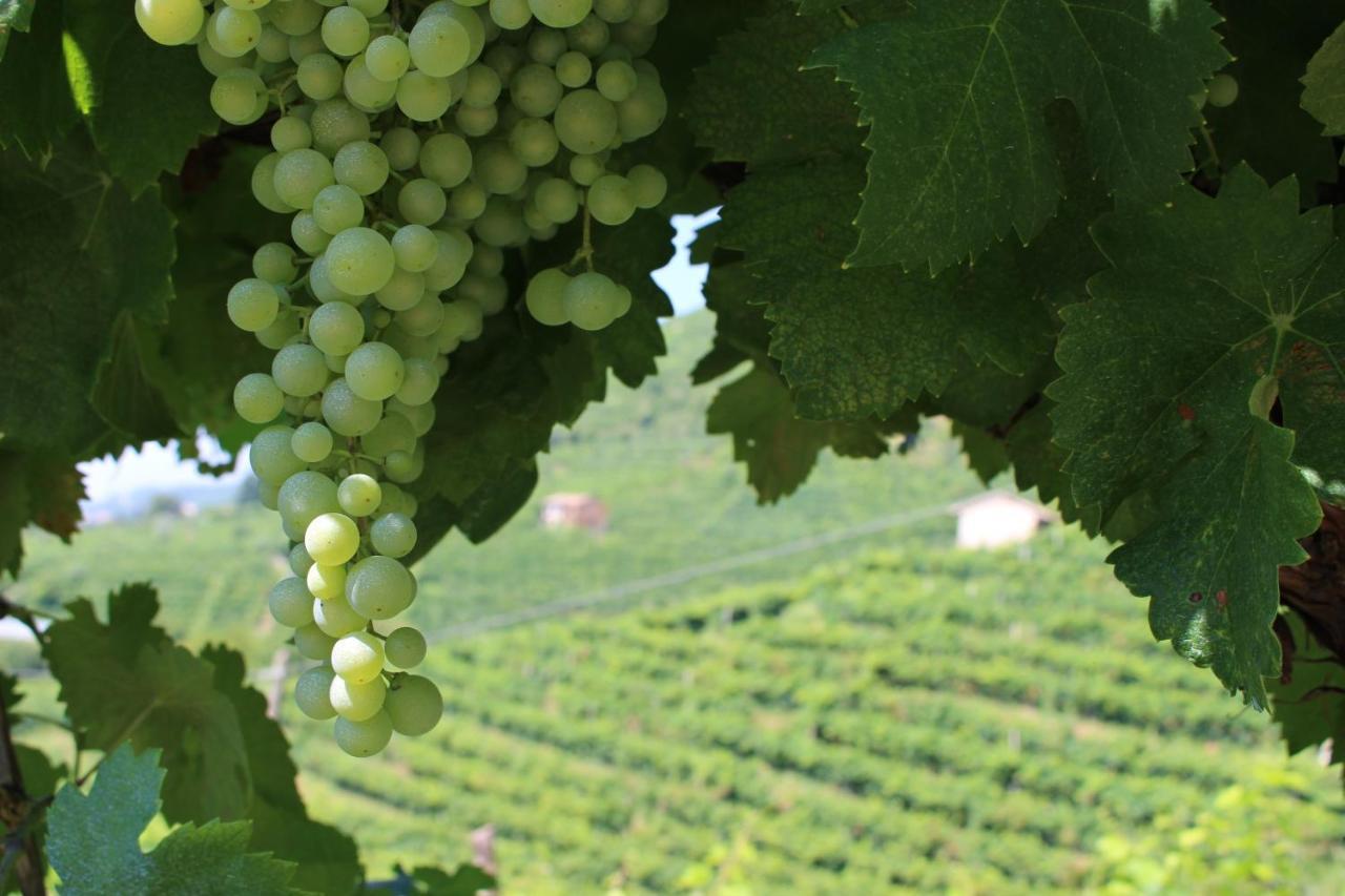 Agriturismo Villa Panigai Farra di Soligo Kültér fotó